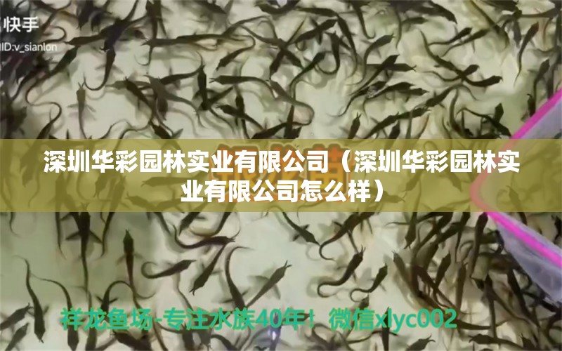 深圳華彩園林實(shí)業(yè)有限公司（深圳華彩園林實(shí)業(yè)有限公司怎么樣）