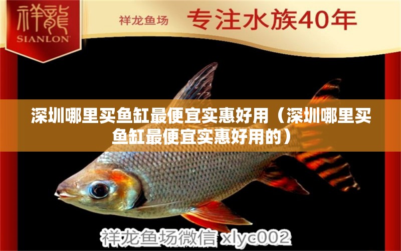 深圳哪里買魚缸最便宜實惠好用（深圳哪里買魚缸最便宜實惠好用的） 觀賞魚水族批發(fā)市場