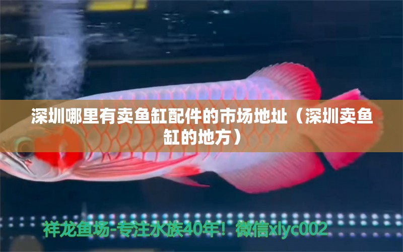 深圳哪里有賣魚缸配件的市場地址（深圳賣魚缸的地方）