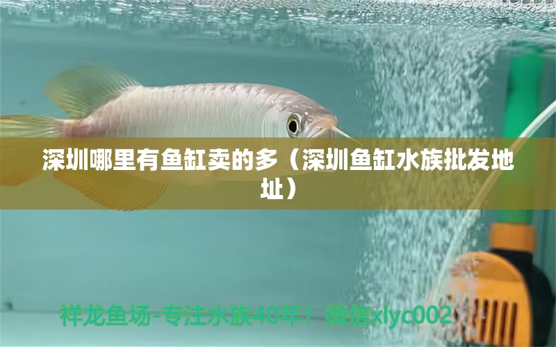 深圳哪里有魚缸賣的多（深圳魚缸水族批發(fā)地址）