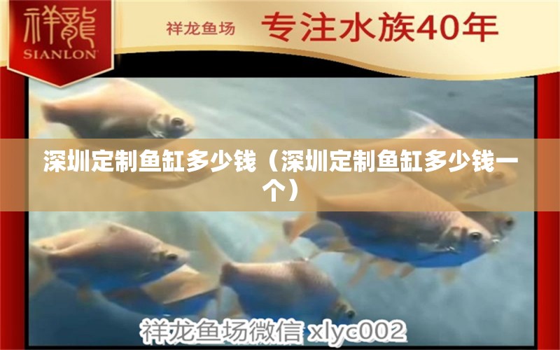 深圳定制魚缸多少錢（深圳定制魚缸多少錢一個） 祥龍水族醫(yī)院