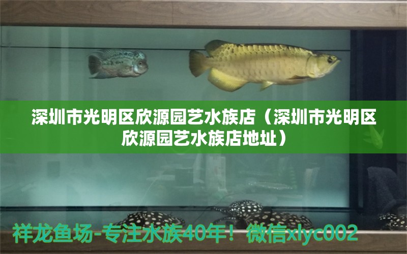 深圳市光明區(qū)欣源園藝水族店（深圳市光明區(qū)欣源園藝水族店地址）