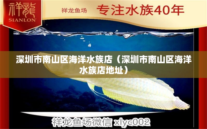 深圳市南山區(qū)海洋水族店（深圳市南山區(qū)海洋水族店地址）