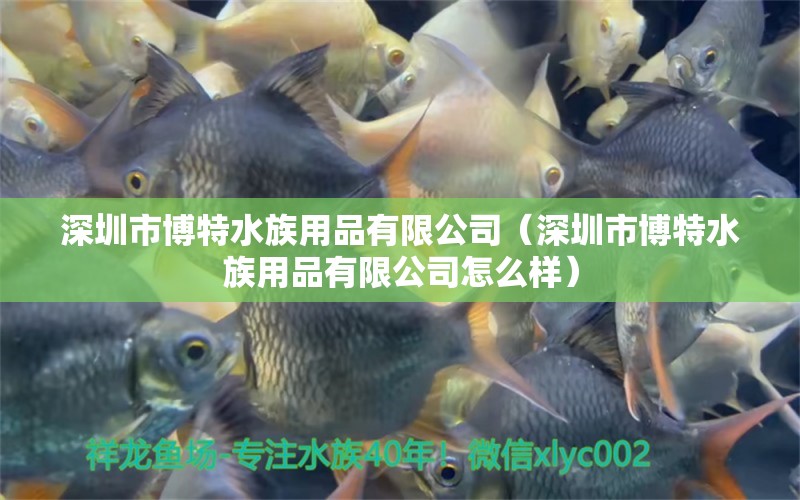 深圳市博特水族用品有限公司（深圳市博特水族用品有限公司怎么樣）