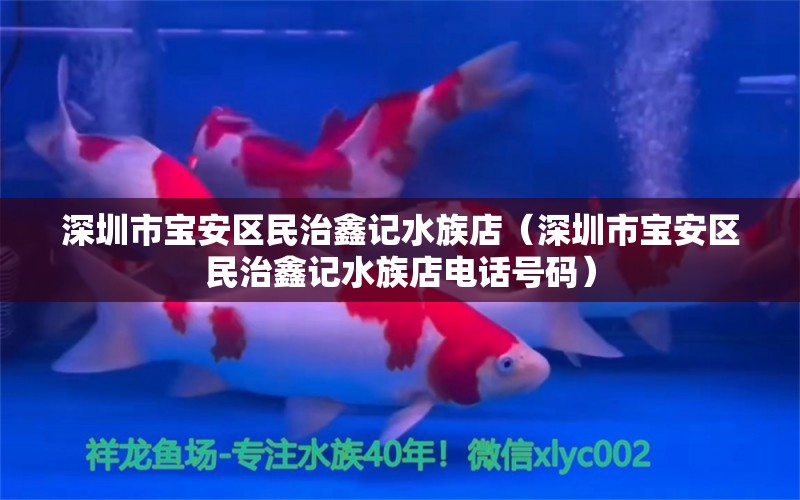 深圳市寶安區(qū)民治鑫記水族店（深圳市寶安區(qū)民治鑫記水族店電話號(hào)碼） 全國(guó)水族館企業(yè)名錄