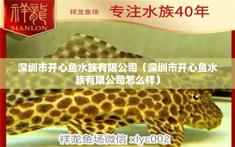 深圳市開(kāi)心魚(yú)水族有限公司（深圳市開(kāi)心魚(yú)水族有限公司怎么樣）