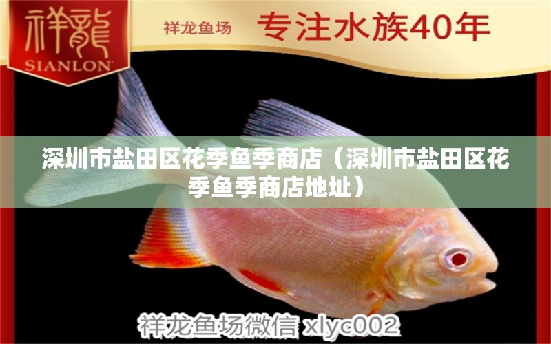 深圳市鹽田區(qū)花季魚季商店（深圳市鹽田區(qū)花季魚季商店地址） 全國(guó)水族館企業(yè)名錄