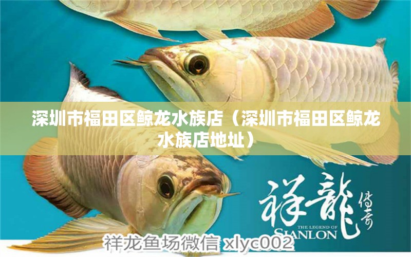 深圳市福田區(qū)鯨龍水族店（深圳市福田區(qū)鯨龍水族店地址） 全國水族館企業(yè)名錄