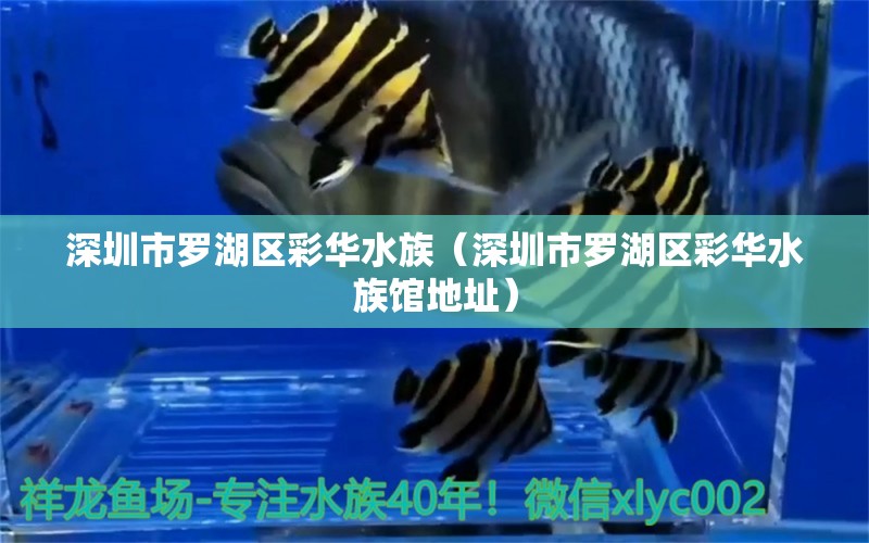 深圳市羅湖區(qū)彩華水族（深圳市羅湖區(qū)彩華水族館地址）