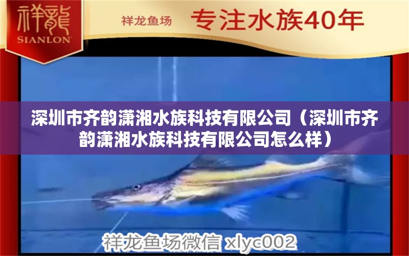 深圳市齊韻瀟湘水族科技有限公司（深圳市齊韻瀟湘水族科技有限公司怎么樣）