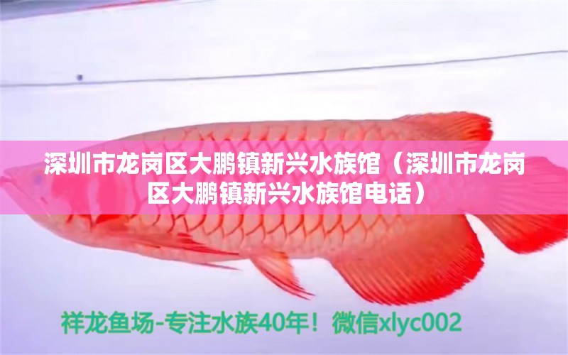 深圳市龍崗區(qū)大鵬鎮(zhèn)新興水族館（深圳市龍崗區(qū)大鵬鎮(zhèn)新興水族館電話） 全國(guó)水族館企業(yè)名錄