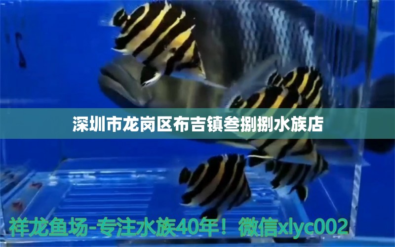 深圳市龍崗區(qū)布吉鎮(zhèn)叁捌捌水族店 全國(guó)水族館企業(yè)名錄