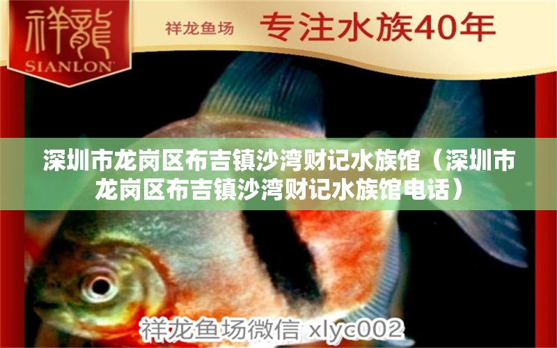 深圳市龍崗區(qū)布吉鎮(zhèn)沙灣財記水族館（深圳市龍崗區(qū)布吉鎮(zhèn)沙灣財記水族館電話） 全國水族館企業(yè)名錄