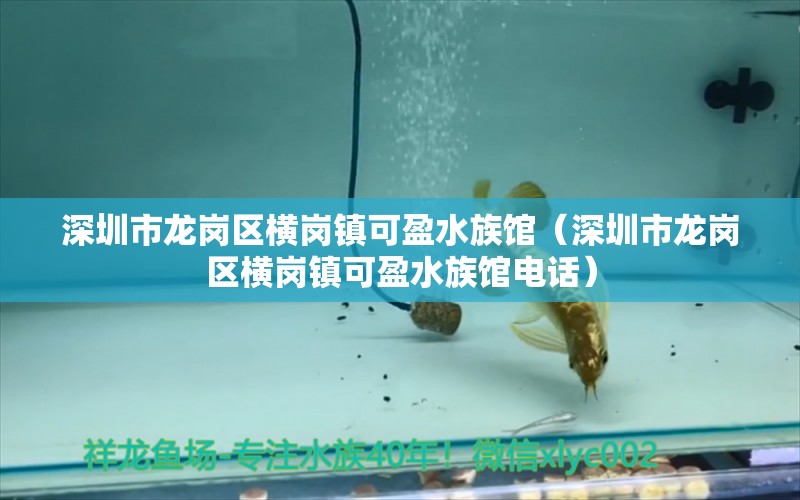 深圳市龍崗區(qū)橫崗鎮(zhèn)可盈水族館（深圳市龍崗區(qū)橫崗鎮(zhèn)可盈水族館電話） 全國(guó)水族館企業(yè)名錄