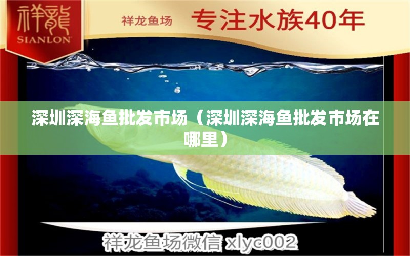 深圳深海魚批發(fā)市場(chǎng)（深圳深海魚批發(fā)市場(chǎng)在哪里） 廣州龍魚批發(fā)市場(chǎng)