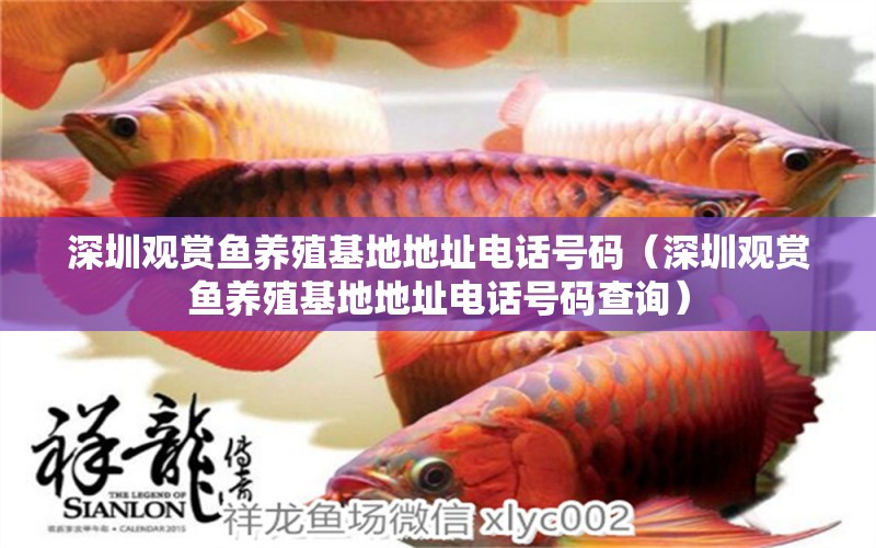 深圳觀賞魚養(yǎng)殖基地地址電話號碼（深圳觀賞魚養(yǎng)殖基地地址電話號碼查詢）