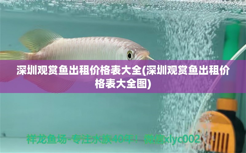 深圳觀賞魚出租價(jià)格表大全(深圳觀賞魚出租價(jià)格表大全圖) 野彩魚