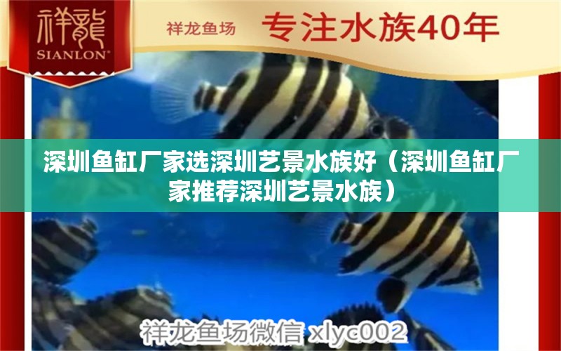 深圳魚(yú)缸廠家選深圳藝景水族好（深圳魚(yú)缸廠家推薦深圳藝景水族） 祥龍水族醫(yī)院