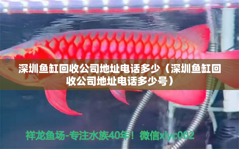 深圳魚缸回收公司地址電話多少（深圳魚缸回收公司地址電話多少號）