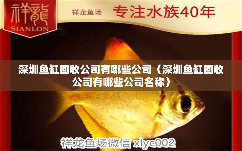 深圳魚缸回收公司有哪些公司（深圳魚缸回收公司有哪些公司名稱）