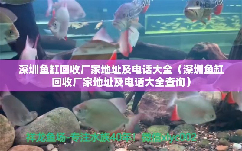 深圳魚缸回收廠家地址及電話大全（深圳魚缸回收廠家地址及電話大全查詢）