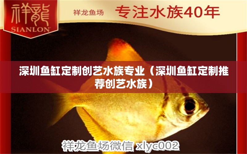 深圳魚缸定制創(chuàng)藝水族專業(yè)（深圳魚缸定制推薦創(chuàng)藝水族）