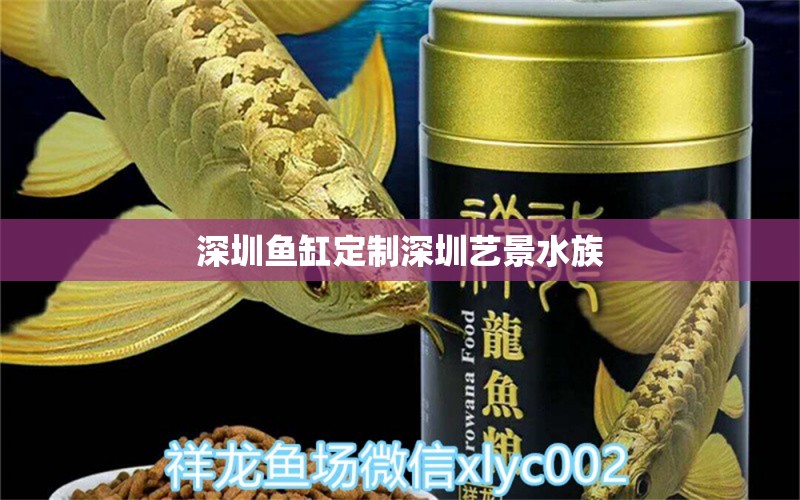 深圳魚缸定制深圳藝景水族