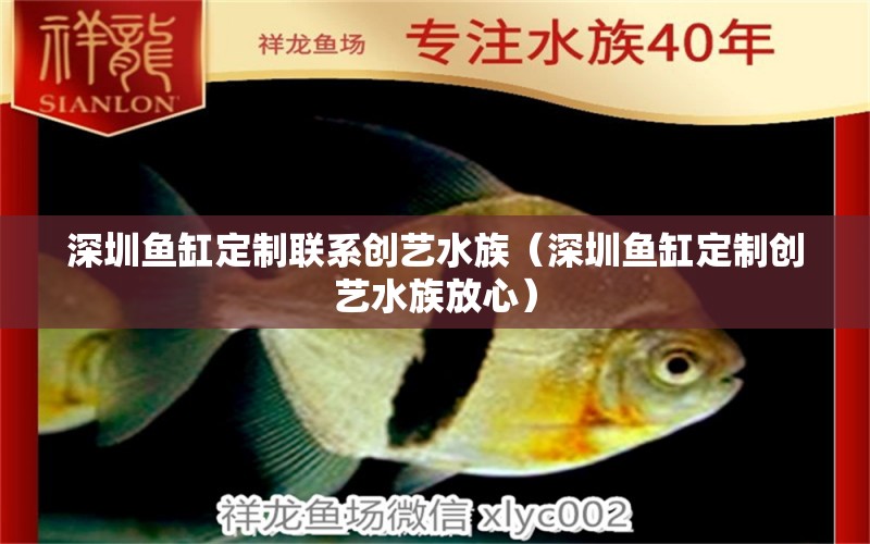 深圳魚缸定制聯(lián)系創(chuàng)藝水族（深圳魚缸定制創(chuàng)藝水族放心） 祥龍水族醫(yī)院