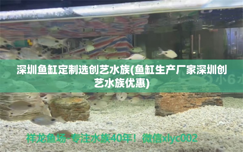 深圳魚缸定制選創(chuàng)藝水族(魚缸生產(chǎn)廠家深圳創(chuàng)藝水族優(yōu)惠)