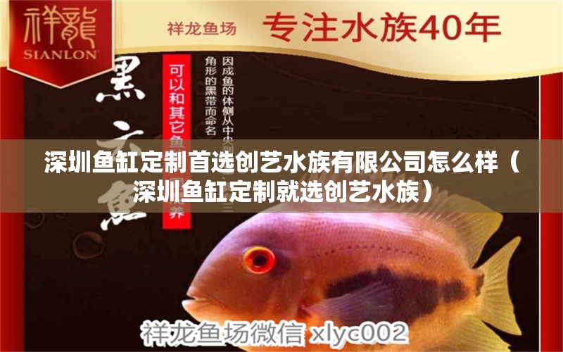 深圳魚缸定制首選創(chuàng)藝水族有限公司怎么樣（深圳魚缸定制就選創(chuàng)藝水族）