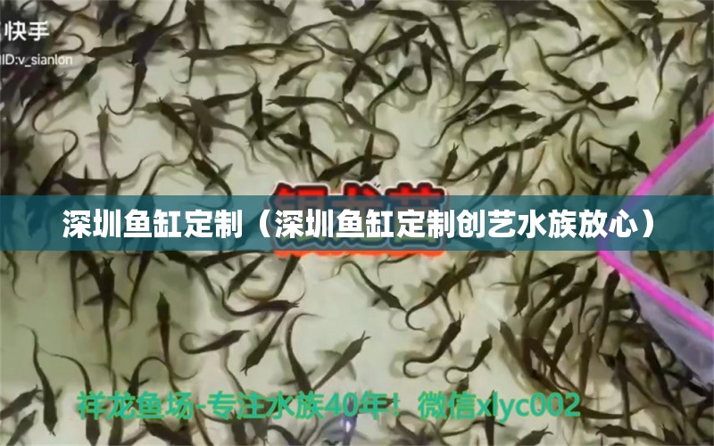 深圳魚缸定制（深圳魚缸定制創(chuàng)藝水族放心）