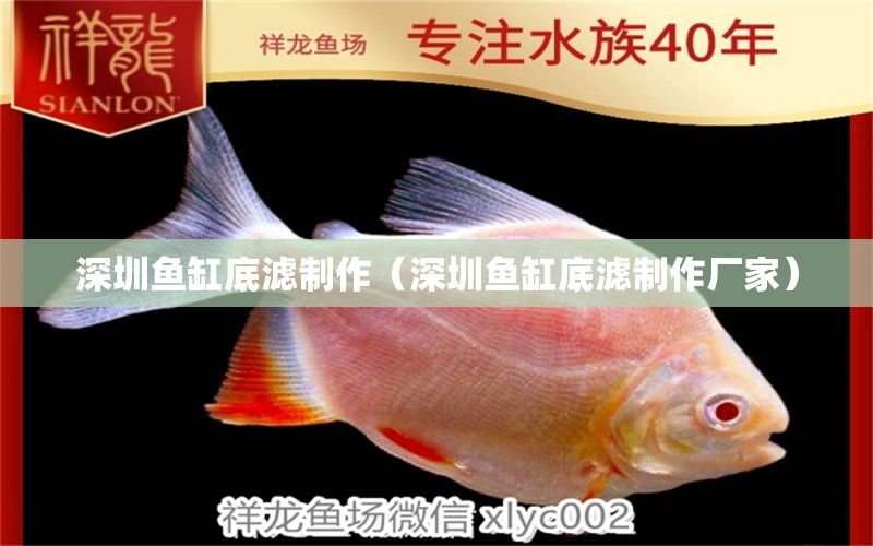 深圳魚缸底濾制作（深圳魚缸底濾制作廠家）