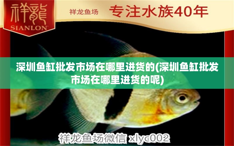 深圳魚缸批發(fā)市場在哪里進(jìn)貨的(深圳魚缸批發(fā)市場在哪里進(jìn)貨的呢) 觀賞魚飼料