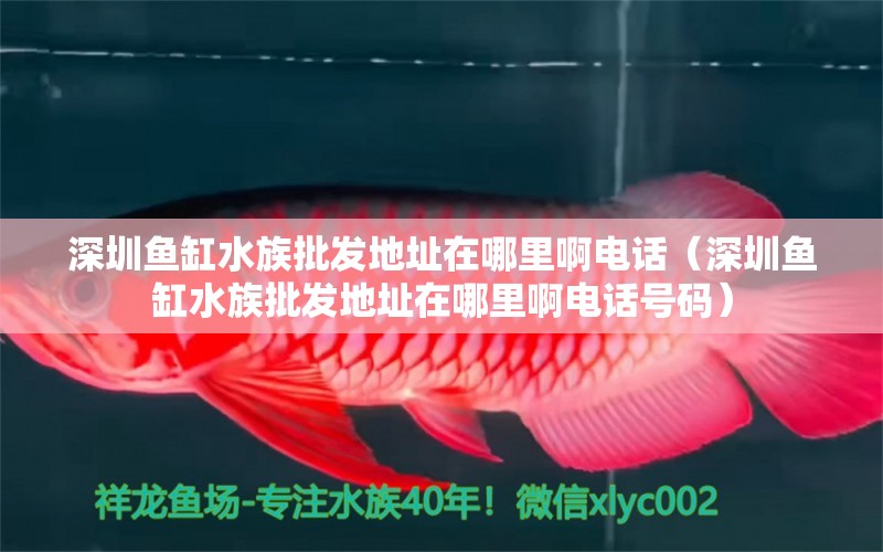 深圳魚缸水族批發(fā)地址在哪里啊電話（深圳魚缸水族批發(fā)地址在哪里啊電話號碼）