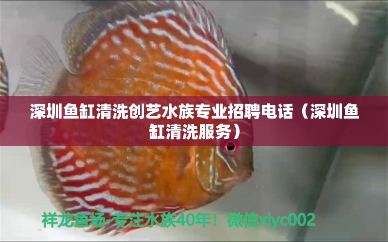 深圳魚缸清洗創(chuàng)藝水族專業(yè)招聘電話（深圳魚缸清洗服務(wù)）