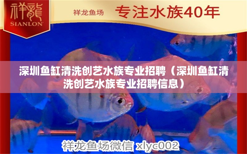 深圳魚缸清洗創(chuàng)藝水族專業(yè)招聘（深圳魚缸清洗創(chuàng)藝水族專業(yè)招聘信息）