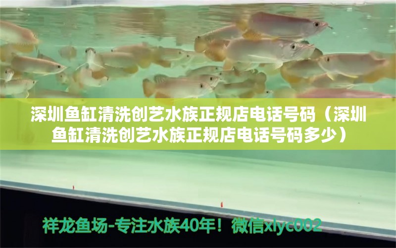 深圳魚缸清洗創(chuàng)藝水族正規(guī)店電話號(hào)碼（深圳魚缸清洗創(chuàng)藝水族正規(guī)店電話號(hào)碼多少）