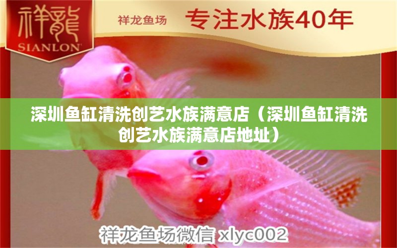 深圳魚缸清洗創(chuàng)藝水族滿意店（深圳魚缸清洗創(chuàng)藝水族滿意店地址）