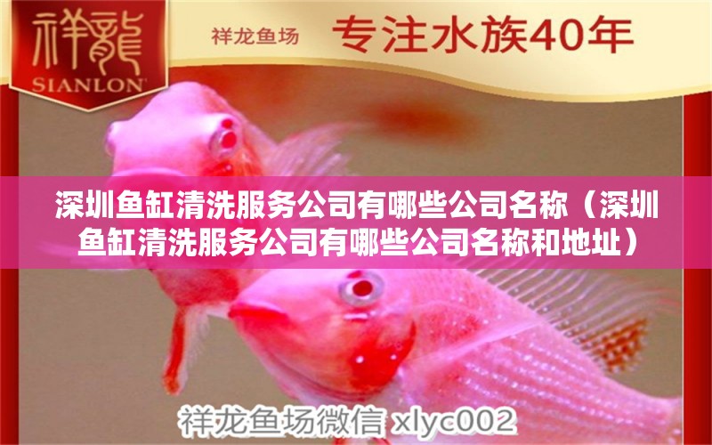 深圳魚缸清洗服務(wù)公司有哪些公司名稱（深圳魚缸清洗服務(wù)公司有哪些公司名稱和地址）