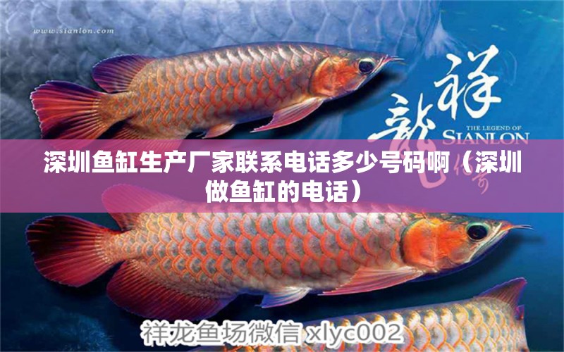 深圳魚缸生產(chǎn)廠家聯(lián)系電話多少號碼啊（深圳做魚缸的電話）