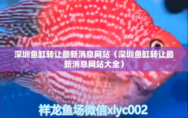 深圳魚缸轉(zhuǎn)讓最新消息網(wǎng)站（深圳魚缸轉(zhuǎn)讓最新消息網(wǎng)站大全） 觀賞魚市場（混養(yǎng)魚）