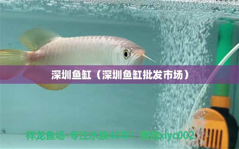 深圳魚缸（深圳魚缸批發(fā)市場）