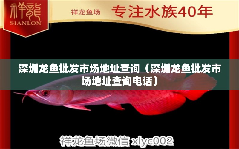 深圳龍魚批發(fā)市場地址查詢（深圳龍魚批發(fā)市場地址查詢電話） 龍魚批發(fā)