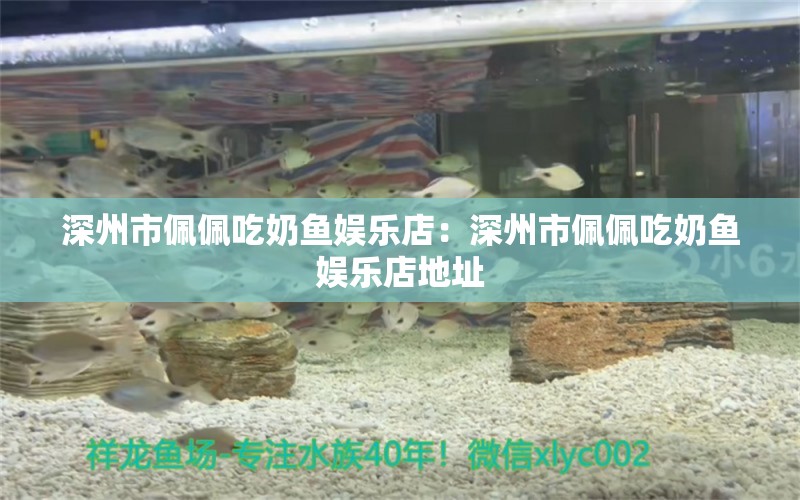 深州市佩佩吃奶魚娛樂店：深州市佩佩吃奶魚娛樂店地址