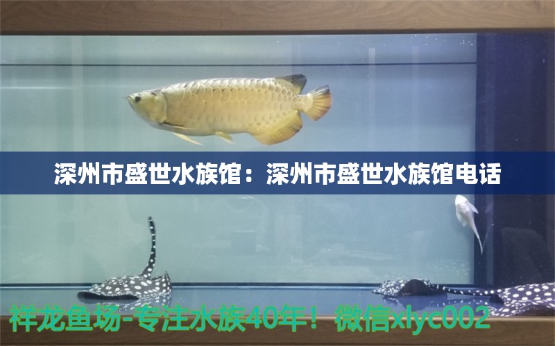 深州市盛世水族館：深州市盛世水族館電話 全國水族館企業(yè)名錄