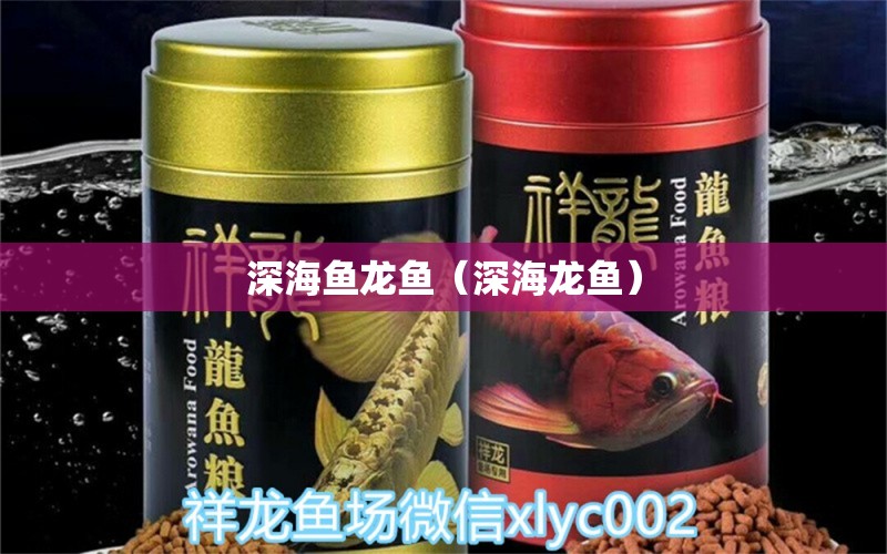 深海魚龍魚（深海龍魚） 廣州龍魚批發(fā)市場(chǎng)