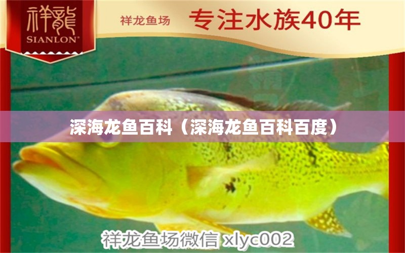 深海龍魚百科（深海龍魚百科百度）