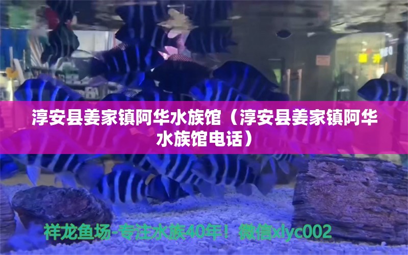 淳安縣姜家鎮(zhèn)阿華水族館（淳安縣姜家鎮(zhèn)阿華水族館電話） 全國水族館企業(yè)名錄