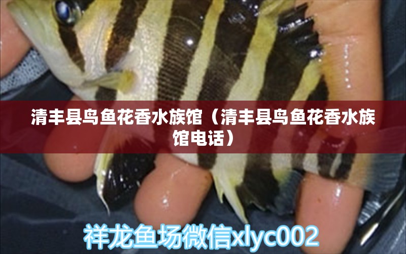 清豐縣鳥(niǎo)魚(yú)花香水族館（清豐縣鳥(niǎo)魚(yú)花香水族館電話）