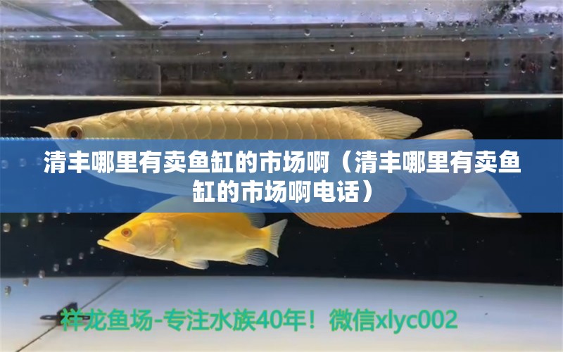 清豐哪里有賣魚缸的市場?。ㄇ遑S哪里有賣魚缸的市場啊電話）